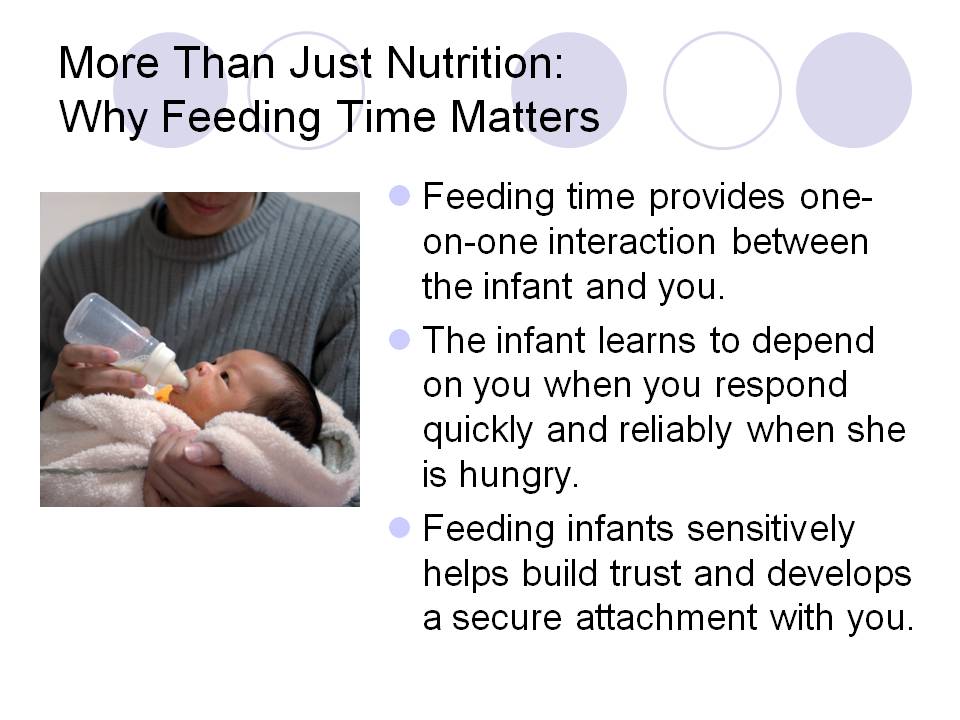 More Than Just Nutrition:Why Feeding Time Matters